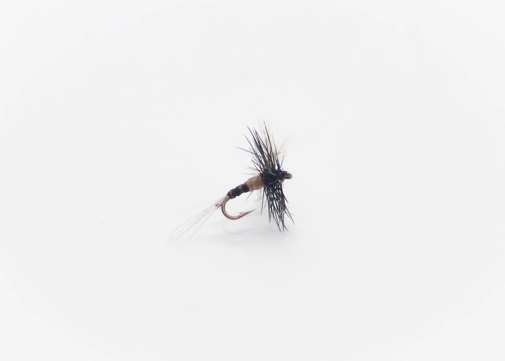 Caenis midge dry fly